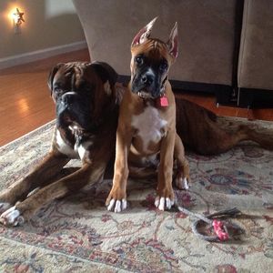 Meet your Posher, Joan